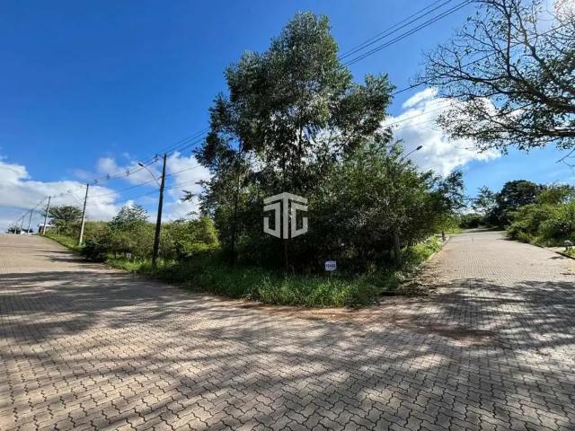 Terreno venda em Região Geográfica Imediata de Novo Hamburgo - São Leopoldo, Região Metropolitana de Porto Alegre