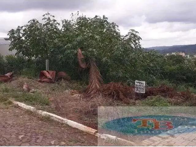 Terreno venda em Estância Velha