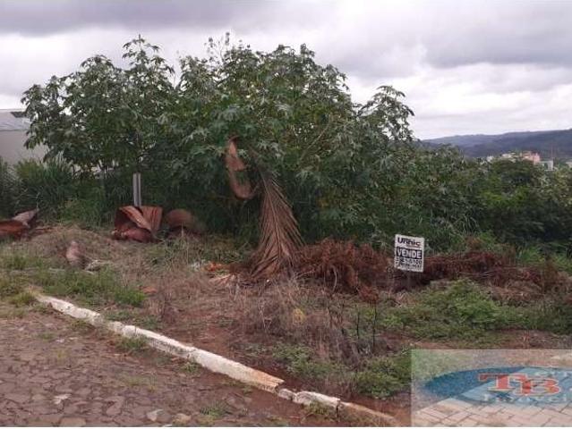 Terreno venda em Região Geográfica Imediata de Novo Hamburgo - São Leopoldo, Região Metropolitana de Porto Alegre