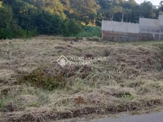 Terreno venda em Região Geográfica Imediata de Novo Hamburgo - São Leopoldo, Região Metropolitana de Porto Alegre