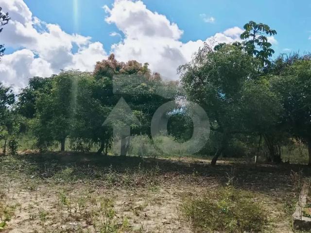 Terreno venda em Região Geográfica Imediata de Estância, Estância