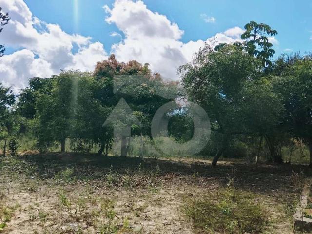 Terreno venda em Conjunto Paulo Amaral Lopes, Estância