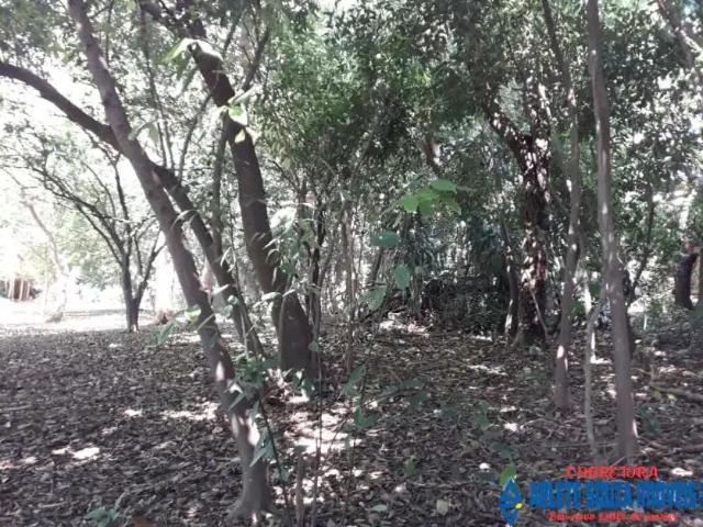 Terreno venda em Região Geográfica Imediata de Porto Alegre, Região Metropolitana de Porto Alegre