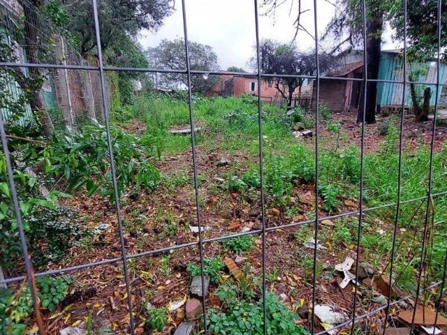 Terreno venda em Esteio