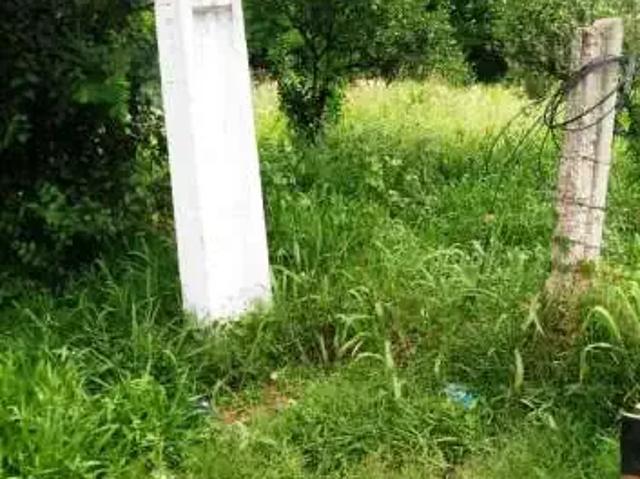 Terreno venda em Região Geográfica Imediata de Porto Alegre, Região Metropolitana de Porto Alegre