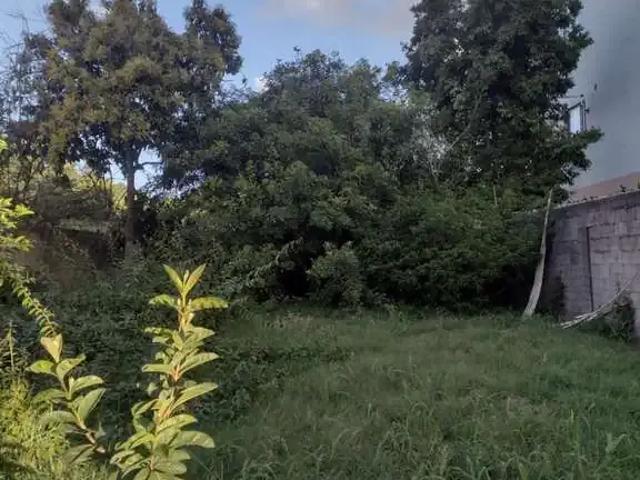 Terreno venda em Região Geográfica Imediata de Porto Alegre, Região Metropolitana de Porto Alegre