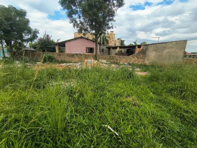 Terreno venda em Região Geográfica Imediata de Porto Alegre, Região Metropolitana de Porto Alegre