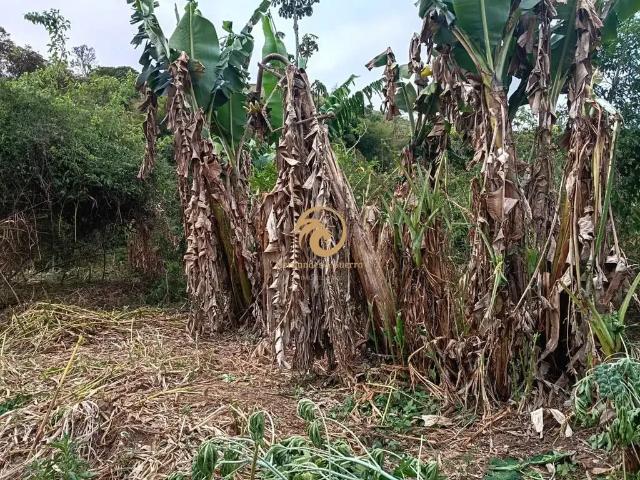 Terreno venda em Estiva, Região Geográfica Intermediária de Pouso Alegre