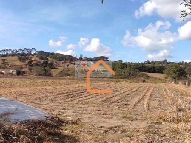 Terreno venda em Estiva