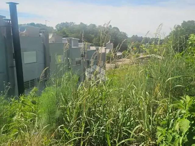 Terreno venda em Região Geográfica Imediata de Caxias do Sul, Farroupilha