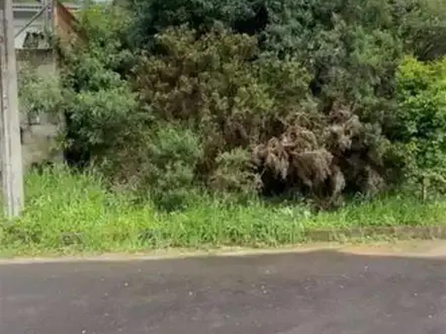 Terreno venda em Região Geográfica Imediata de Caxias do Sul, Farroupilha