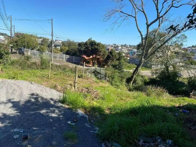 Terreno venda em Região Geográfica Imediata de Caxias do Sul, Farroupilha