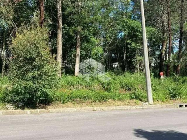 Terreno venda em Região Geográfica Imediata de Caxias do Sul, Farroupilha
