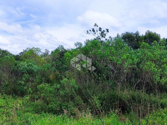 Terreno venda em Nova Sardenha, Farroupilha