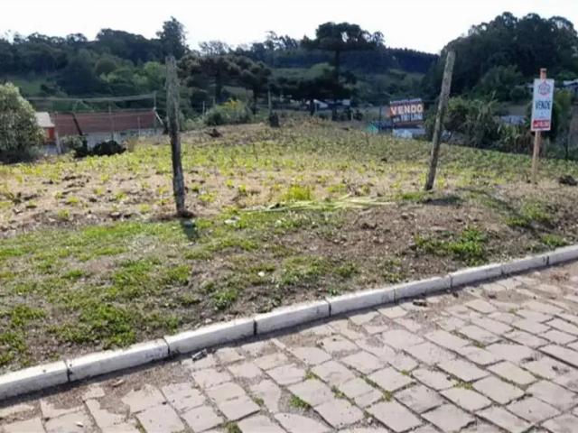 Terreno venda em Farroupilha, Região Geográfica Intermediária de Caxias do Sul