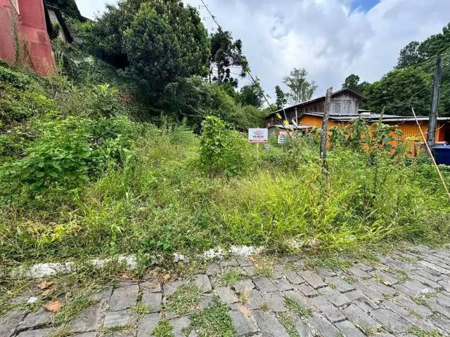 Terreno venda em Região Geográfica Imediata de Caxias do Sul, Farroupilha