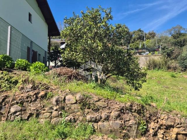 Terreno venda em Farroupilha