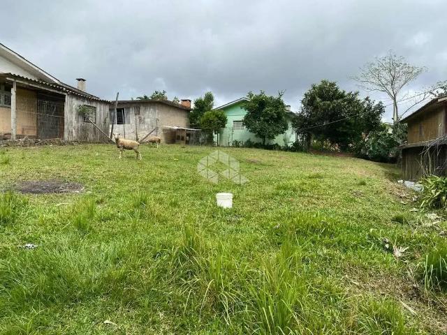 Terreno venda em Farroupilha