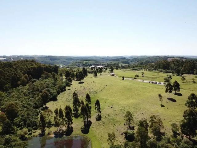 Terreno venda em Região Geográfica Imediata de Caxias do Sul, Farroupilha