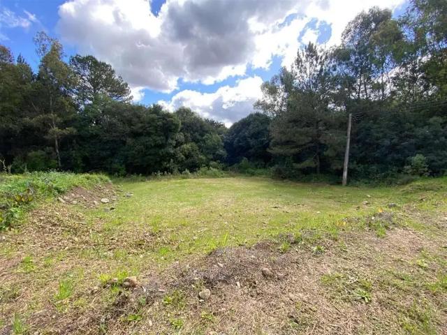 Terreno venda em Região Geográfica Imediata de Caxias do Sul, Farroupilha