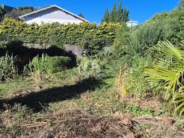 Terreno venda em Região Geográfica Imediata de Caxias do Sul, Farroupilha