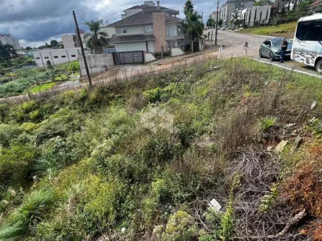 Terreno venda em Região Geográfica Imediata de Caxias do Sul, Farroupilha