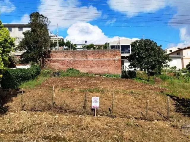 Terreno venda em Região Geográfica Imediata de Caxias do Sul, Farroupilha