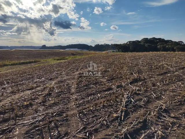 Terreno venda em Região Geográfica Imediata de Caxias do Sul, Farroupilha