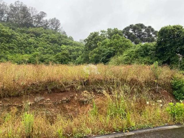 Terreno venda em Região Geográfica Imediata de Caxias do Sul, Farroupilha