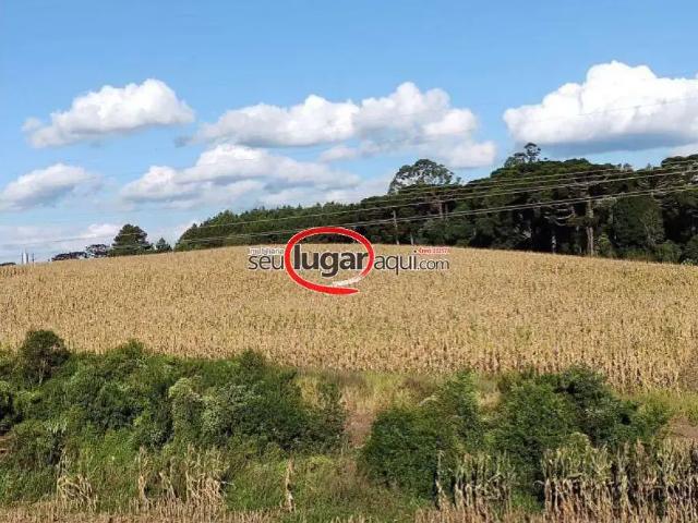 Terreno venda em Região Geográfica Imediata de Caxias do Sul, Farroupilha