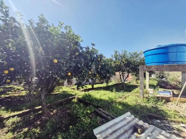 Terreno venda em Farroupilha, Região Geográfica Intermediária de Caxias do Sul