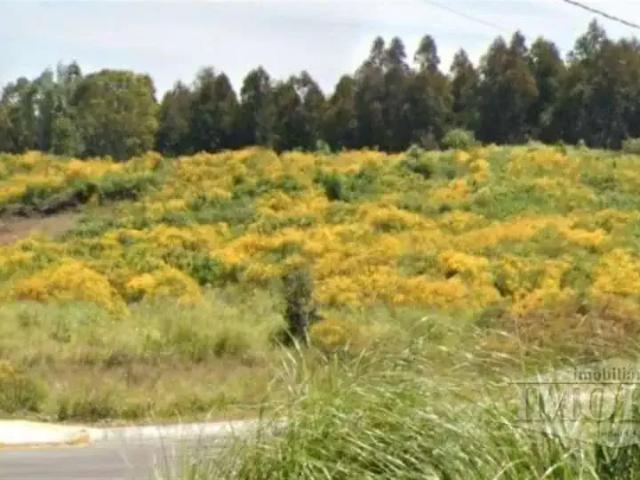Terreno venda em Região Geográfica Imediata de Caxias do Sul, Farroupilha
