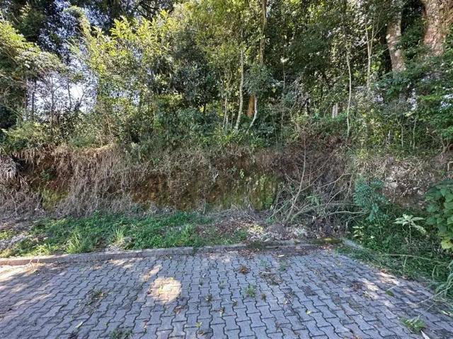 Terreno venda em Farroupilha, Região Geográfica Intermediária de Caxias do Sul
