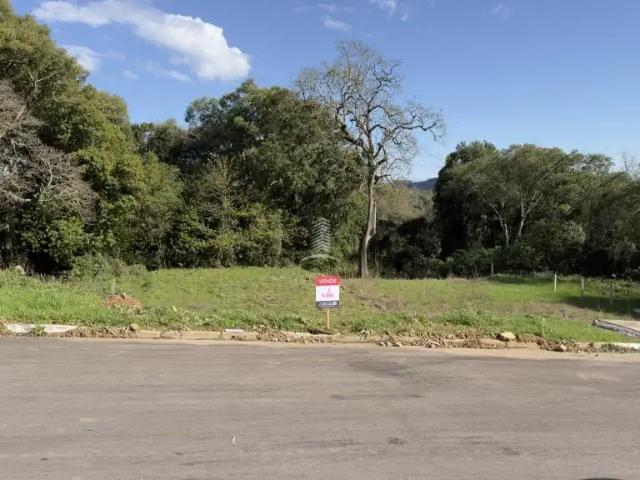 Terreno venda em Farroupilha, Região Geográfica Intermediária de Caxias do Sul