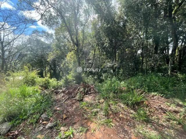 Terreno venda em Região Geográfica Imediata de Caxias do Sul, Farroupilha