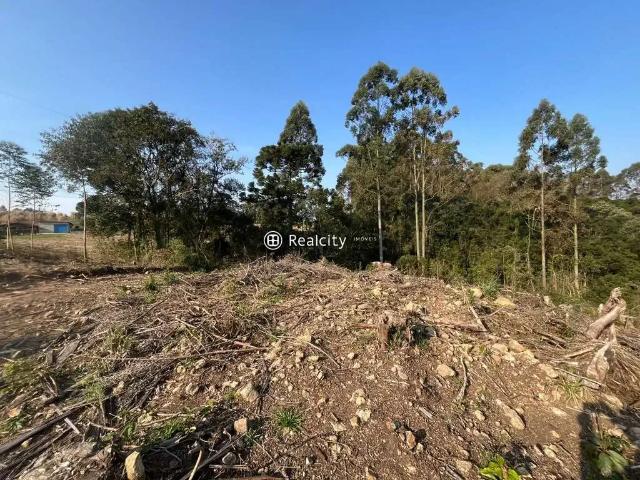 Terreno venda em Região Geográfica Imediata de Caxias do Sul, Farroupilha