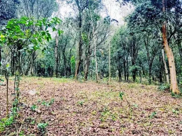 Terreno venda em Região Geográfica Imediata de Caxias do Sul, Farroupilha