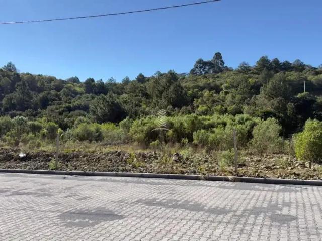 Terreno venda em Farroupilha, Região Geográfica Intermediária de Caxias do Sul