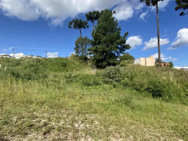 Terreno venda em Farroupilha, Região Geográfica Intermediária de Caxias do Sul