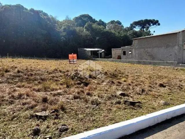 Terreno venda em Farroupilha