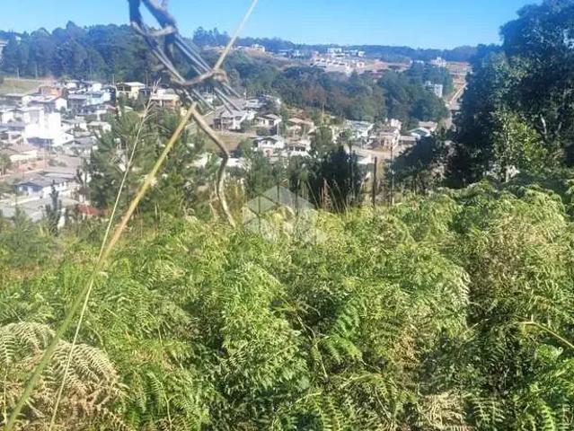 Terreno venda em Farroupilha