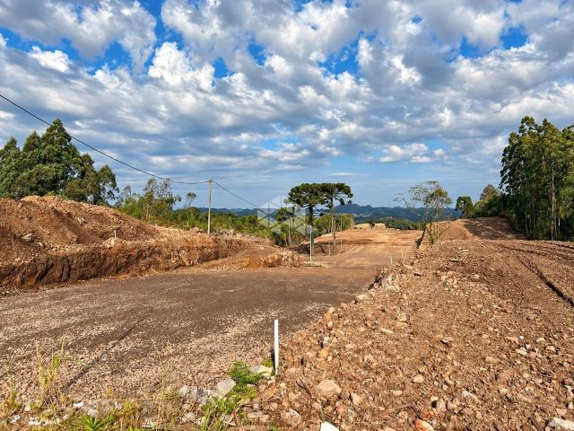 Terreno venda em Farroupilha