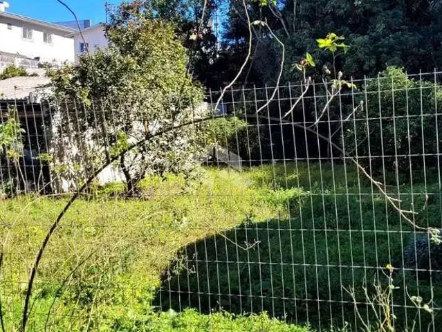 Terreno venda em Região Geográfica Imediata de Caxias do Sul, Farroupilha