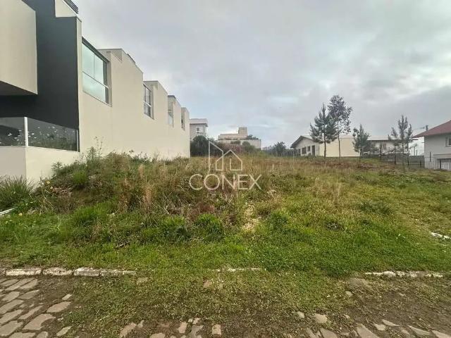 Terreno venda em Região Geográfica Imediata de Porto Alegre, Região Metropolitana de Porto Alegre