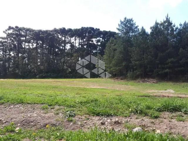 Terreno venda em Farroupilha