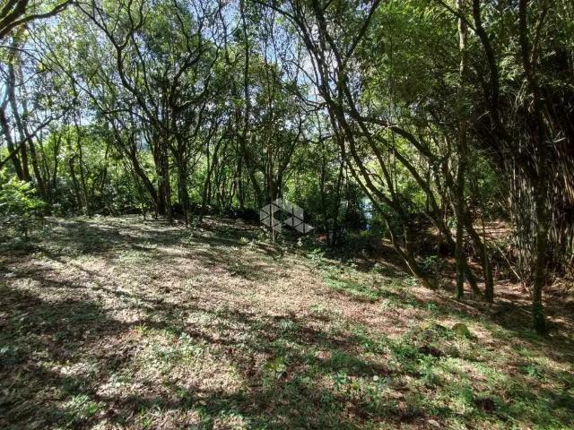 Terreno venda em Região Geográfica Imediata de Caxias do Sul, Farroupilha