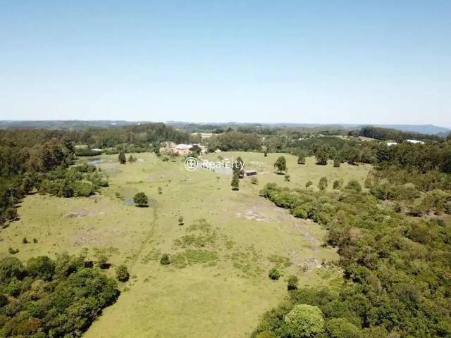 Terreno venda em Região Geográfica Imediata de Caxias do Sul, Farroupilha