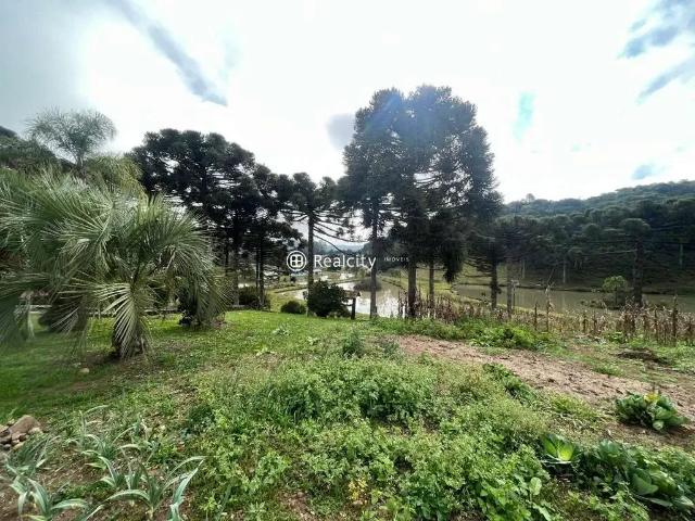Terreno venda em Região Geográfica Imediata de Caxias do Sul, Farroupilha