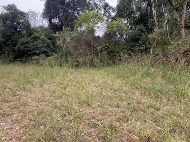 Terreno venda em Região Geográfica Imediata de Caxias do Sul, Farroupilha