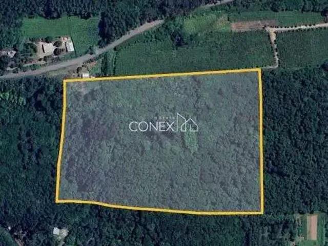Terreno venda em Farroupilha, Região Geográfica Intermediária de Caxias do Sul